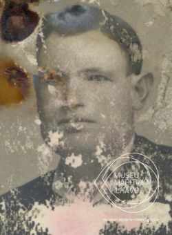 watermark